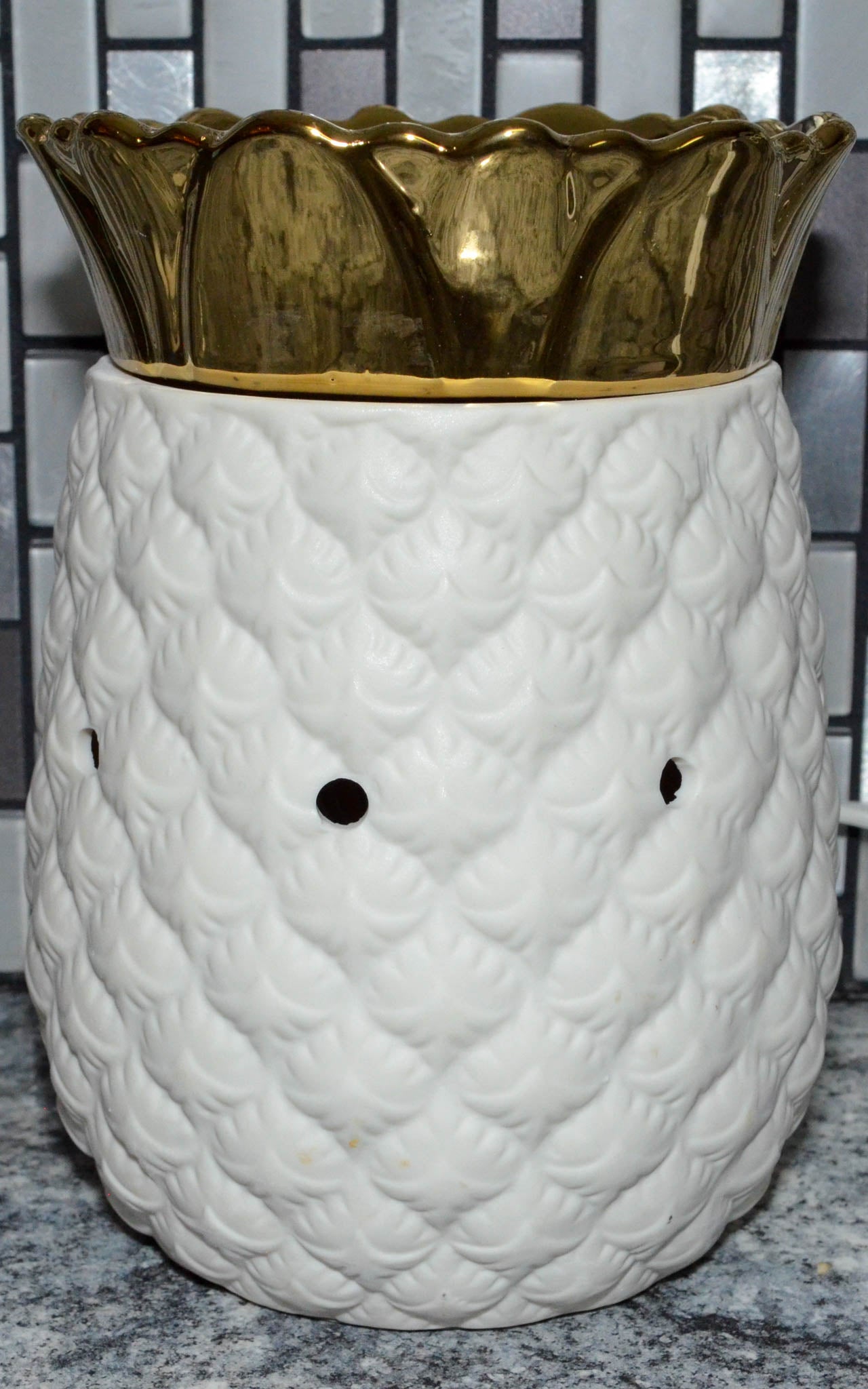 Pineapple Warmer